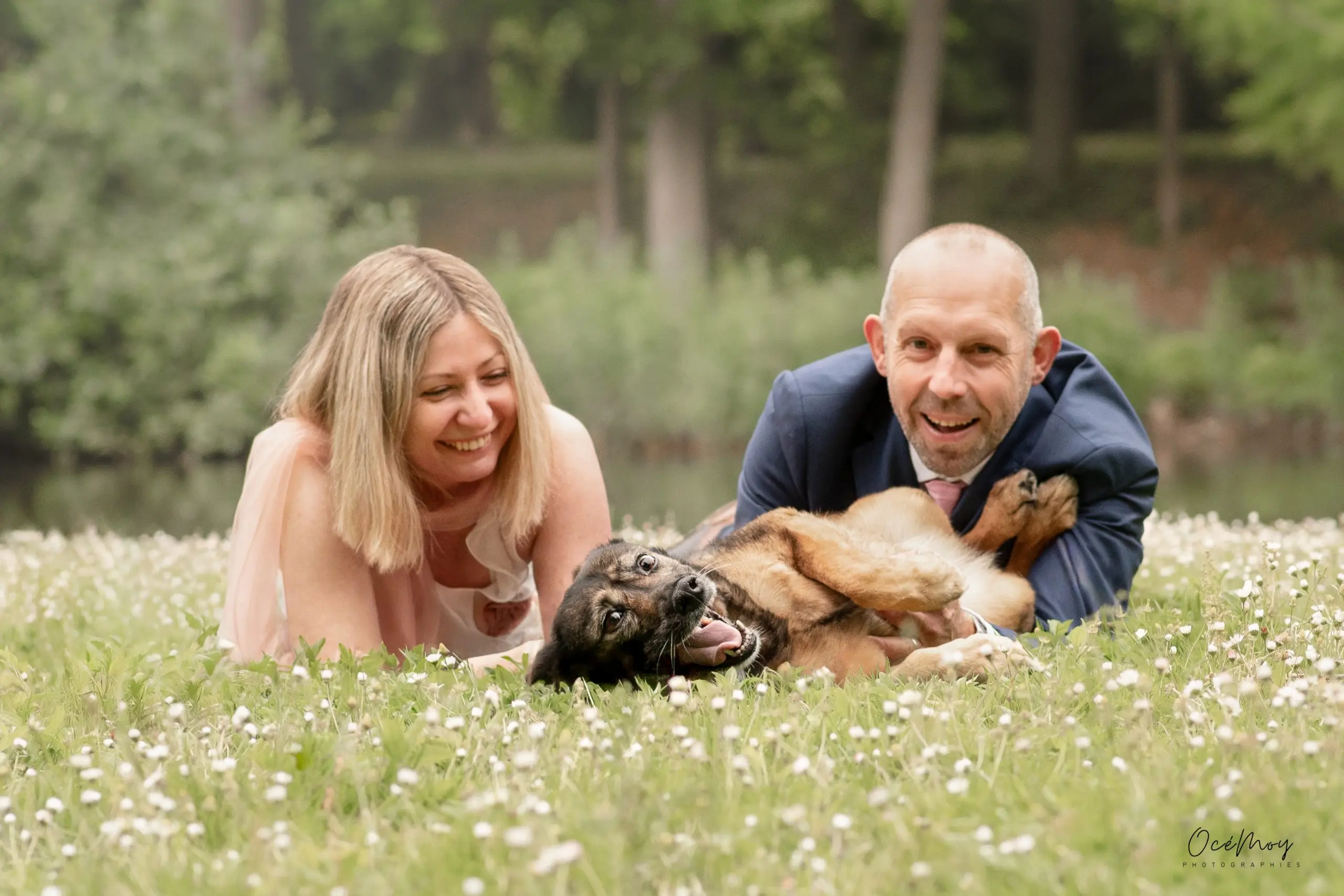 Famille chien regard tendresse émotion