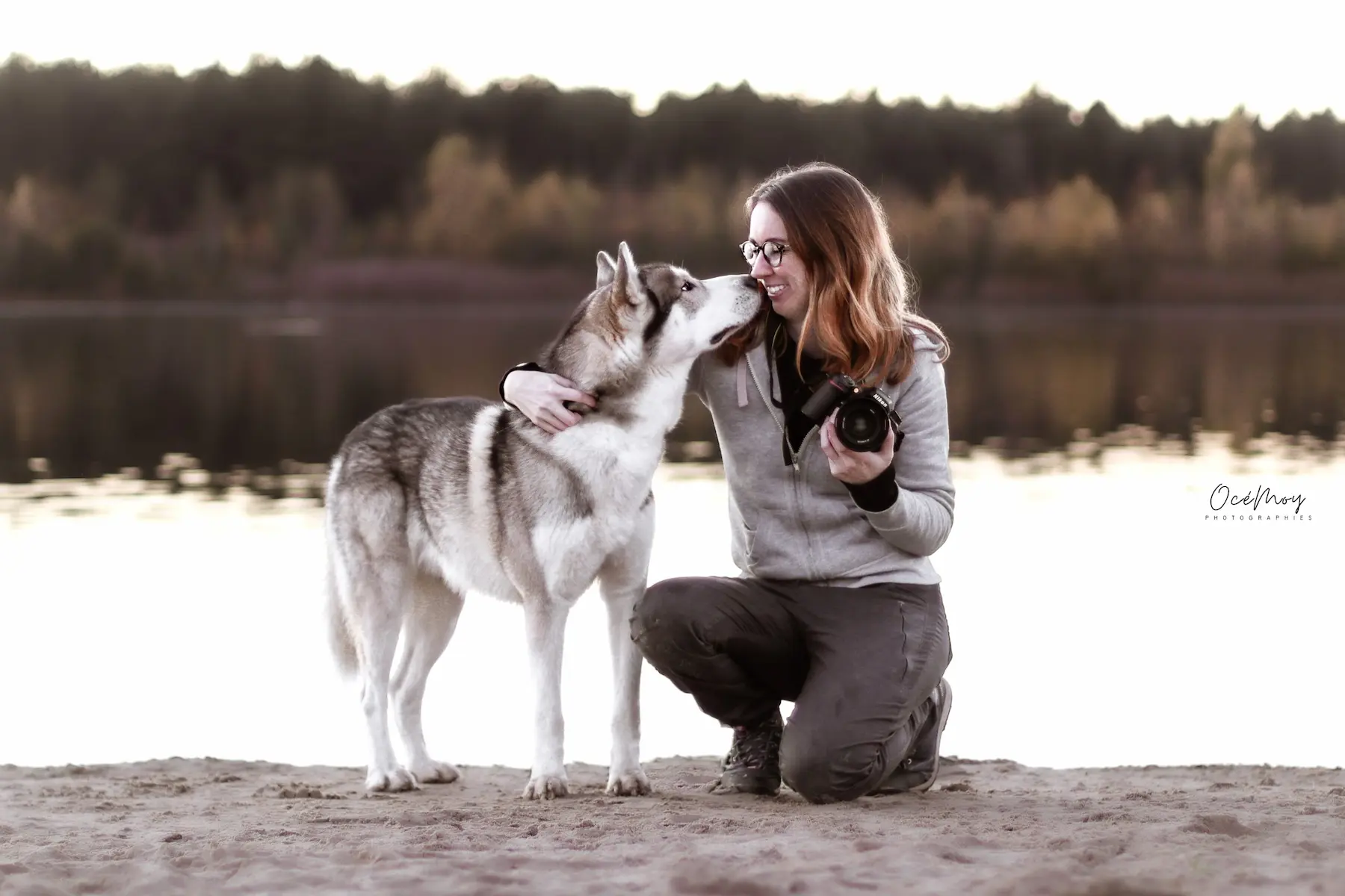 photographe canin chien sensible